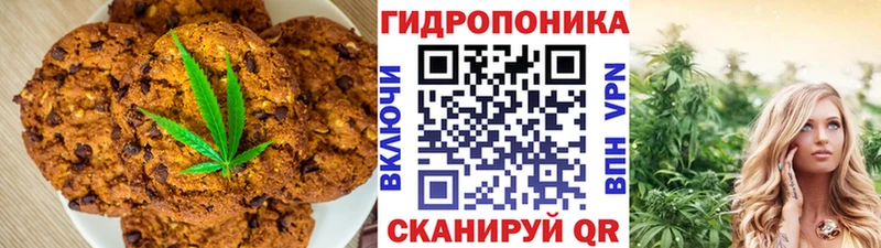 дарнет шоп  Пласт  Cannafood марихуана 