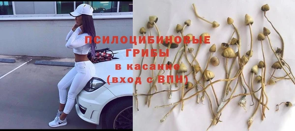 эйфоретик Алзамай