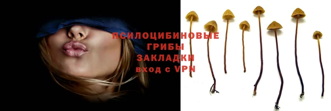 эйфоретик Алзамай