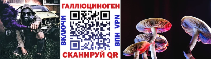 MEGA зеркало  хочу наркоту  Пласт  Галлюциногенные грибы Cubensis 